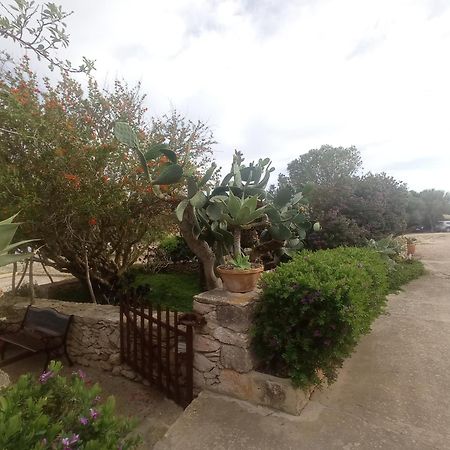 Casa Rural Es Cap De Barbaria San Francisco Javier 外观 照片