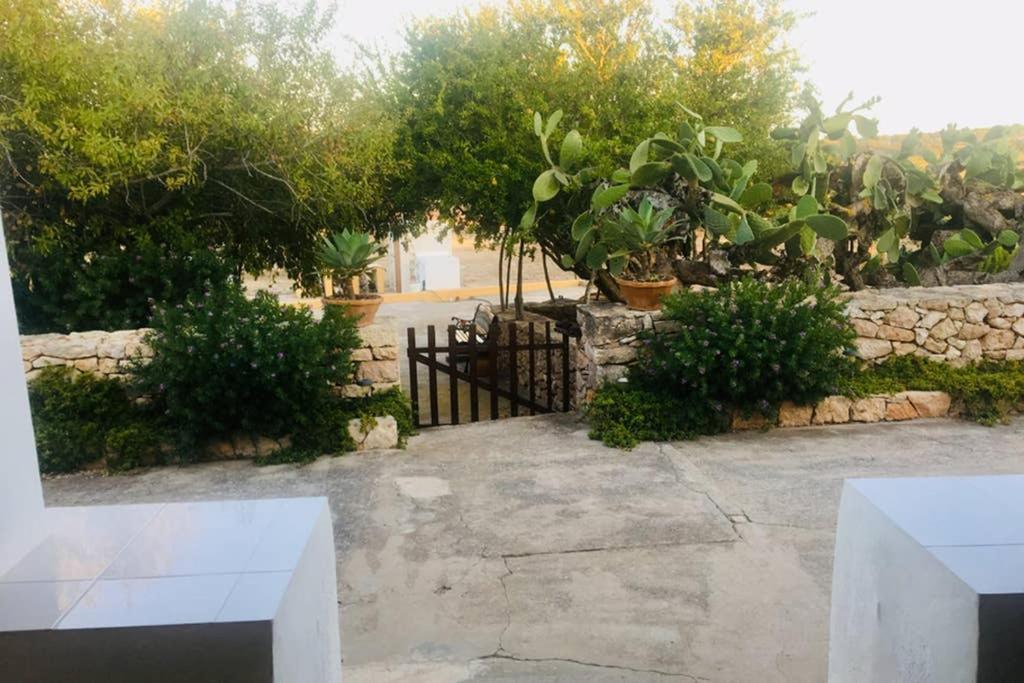 Casa Rural Es Cap De Barbaria San Francisco Javier 外观 照片