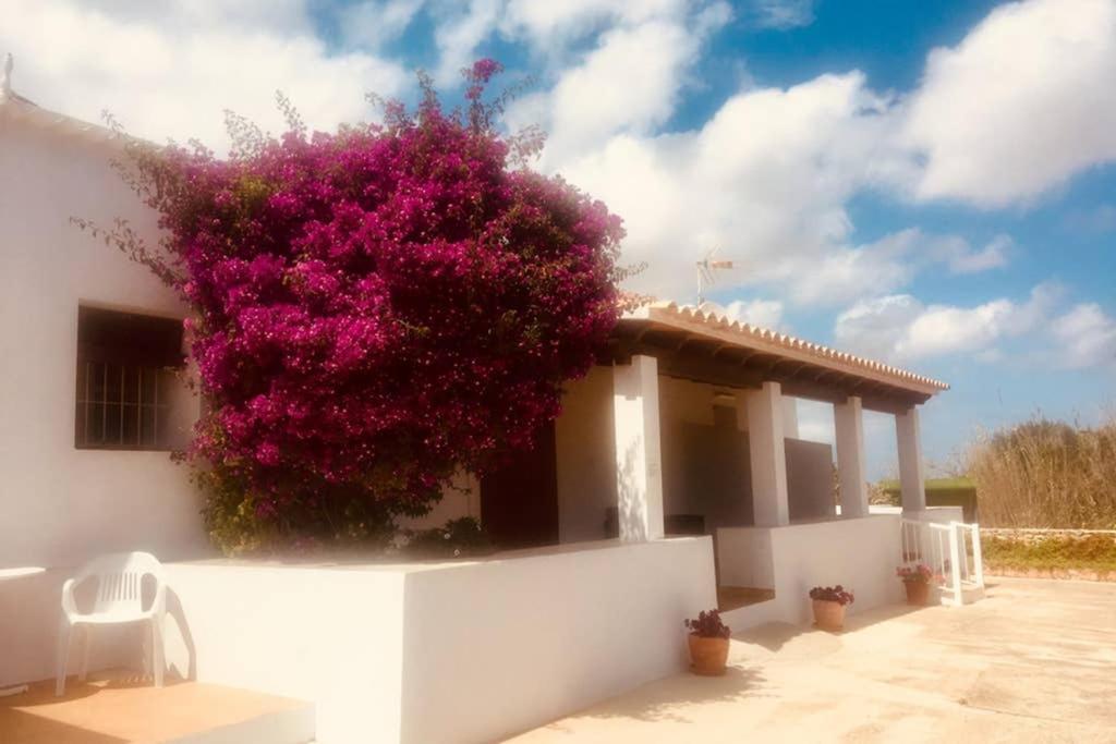 Casa Rural Es Cap De Barbaria San Francisco Javier 外观 照片