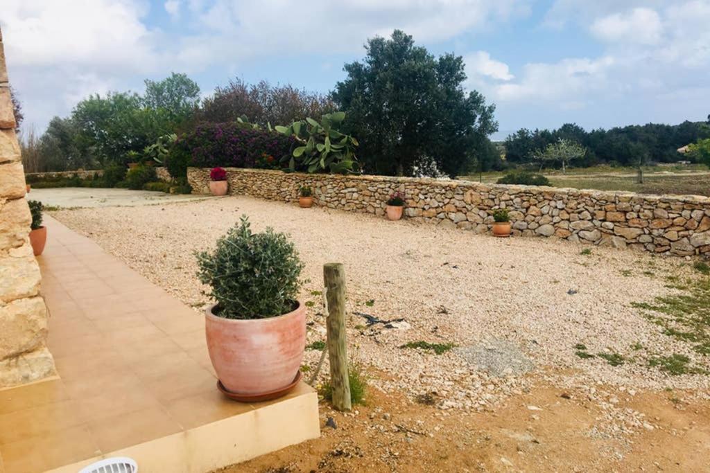 Casa Rural Es Cap De Barbaria San Francisco Javier 外观 照片