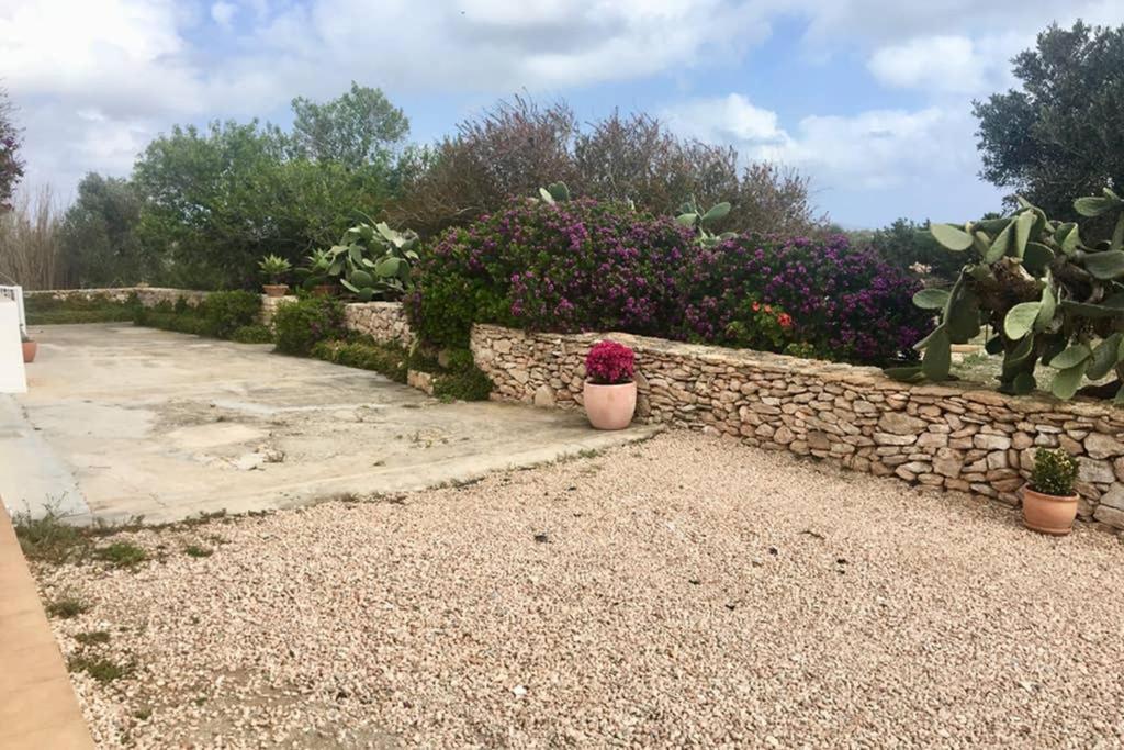 Casa Rural Es Cap De Barbaria San Francisco Javier 外观 照片