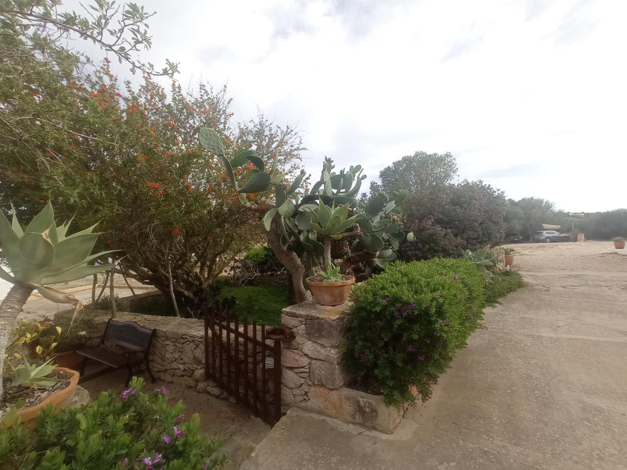 Casa Rural Es Cap De Barbaria San Francisco Javier 外观 照片